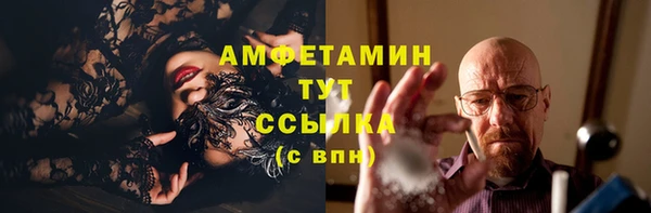 молекула духа Вяземский