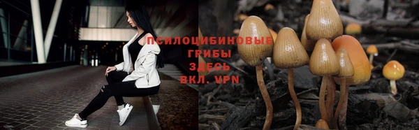 COCAINE Новозыбков